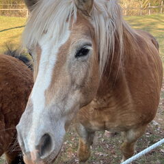 23-03-01 12-07-07 4508